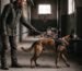 Trust at the End of a Leash - blog post featured image
